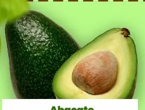 Abacate