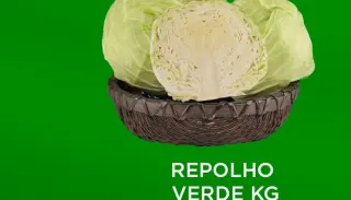 Repolho verde 
