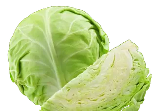 Repolho verde