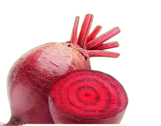 Beterraba