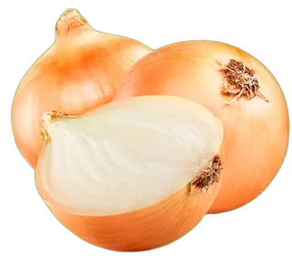 Cebola