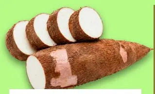Macaxeira