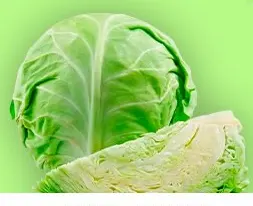 Repolho verde