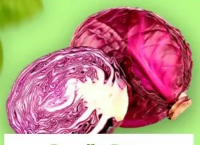 Repolho roxo