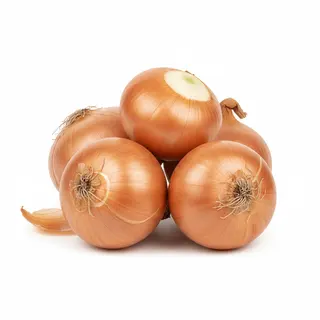 Cebola